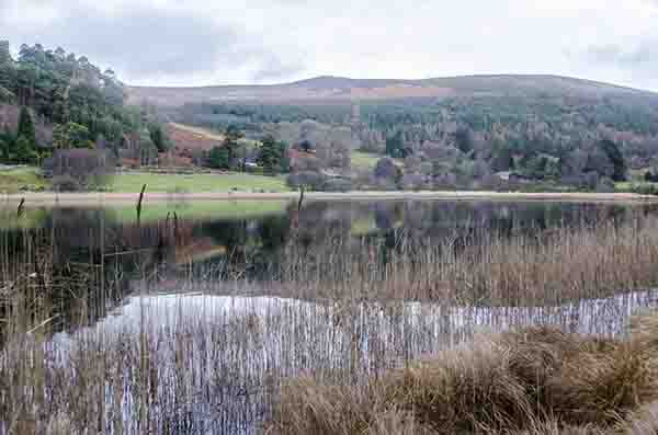 149 - Irlanda - Glendalough - lago Inferior
